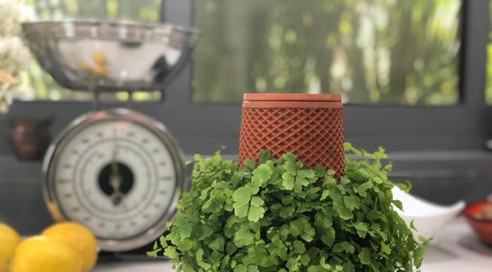 Terraplanter – The Newest Way to Grow Plants