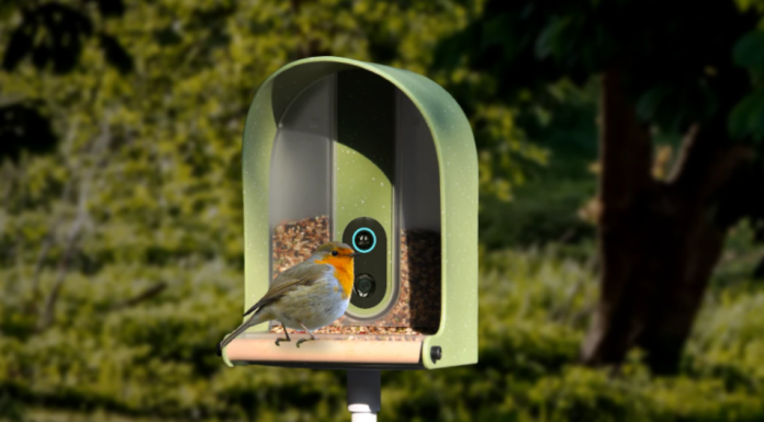 BirdieCamera Promises to Digitize Bird Watching Experience BirdieCamera Smart Bird Feeder