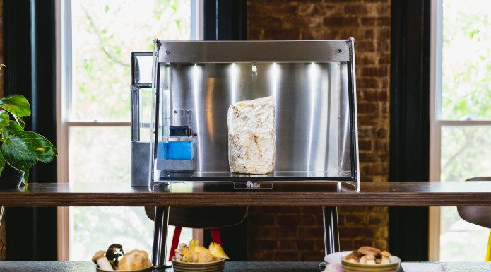 Mella Targets Mushroom Lovers With Home-Grown Gourmets Mushrooms Smart Mushroom Fruiting Chamber