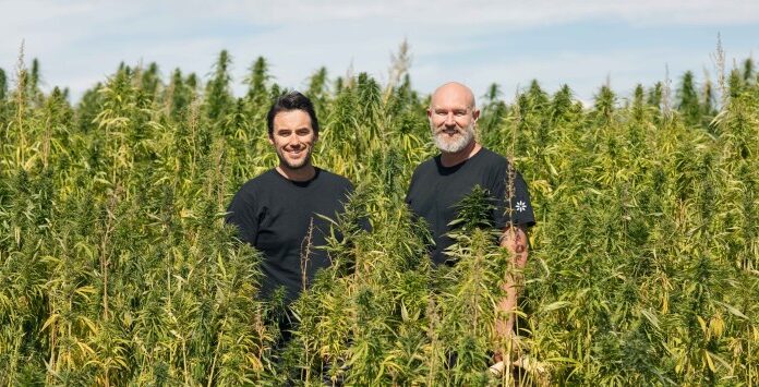 Cannabis biotech Medigrowth achieves $3.44 million crowdfunding campaign