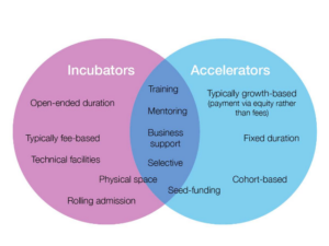 The Role of Incubators and Accelerators