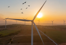 At One Ventures Raises $375 Million for New Climate Tech Fund