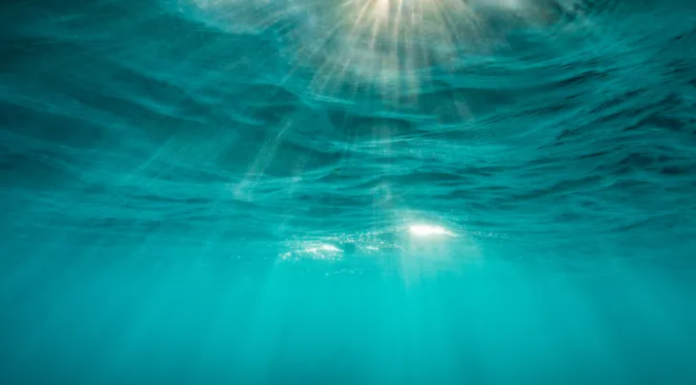 Saronic Building Autonomous Defense Ships with $55M Funding