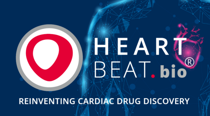 HeartBeat.bio Lands €4.5M for Cardiac Drug Discovery Breakthrough