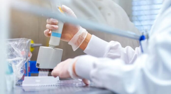 Resalis Therapeutics Secures €10 Million for Obesity Therapeutic Innovation