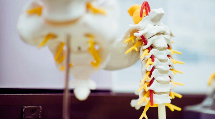 LEM Surgical Secures €23.6M Series B for Advancing Robotic Surgery Innovation